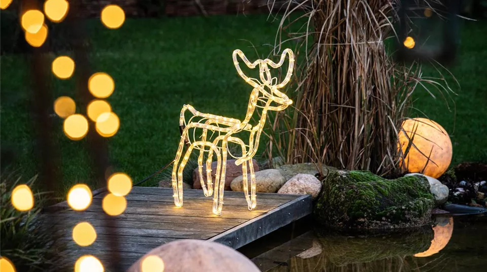 Lichter im Garten - Elch aus Lichtschlauch